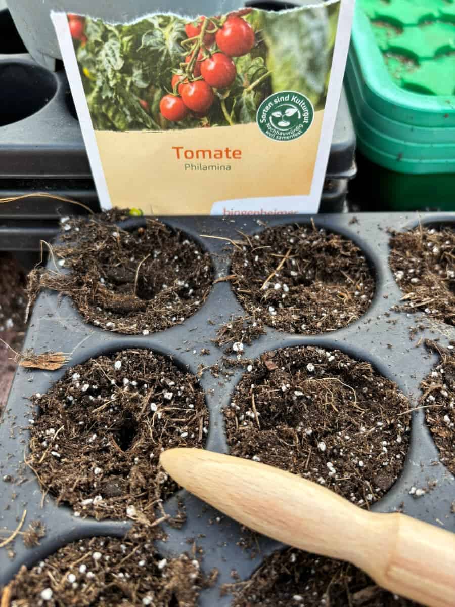 Tomaten Aussaat Freiland